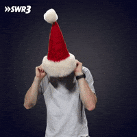 Happy Merry Christmas GIF by SWR3