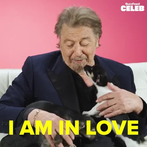 Al Pacino Puppy GIF