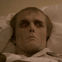 dawn of the dead zombie GIF