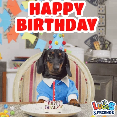 Happy Birthday Dog GIF