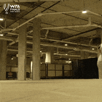 Chasing T-Rex GIF by WTA
