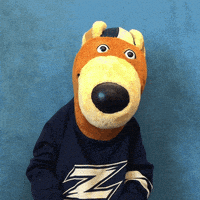 Gozips GIF by The University of Akron