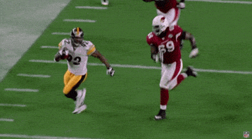 Pittsburgh Steelers GIF by NFL