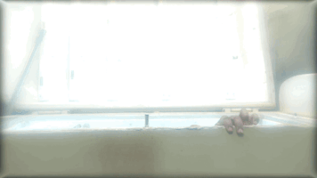 fox tv comedy GIF by Ghosted