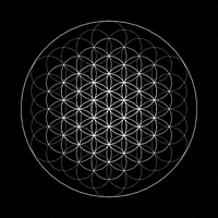 animation loop GIF by xponentialdesign