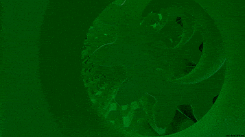 Infinite Loop Art GIF by CmdrKitten