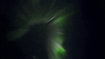 forces of nature GIF by PBS