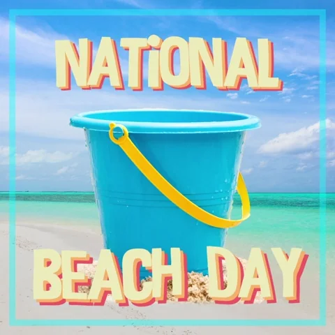 Excited Beach Day GIF