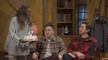 Snl GIF by Saturday Night Live