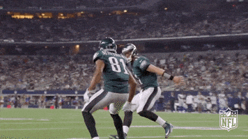 philadelphia eagles football GIF by NFL
