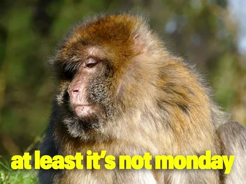 Another One Friday GIF