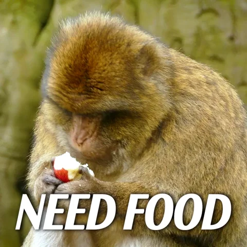 Hungry Mary Jane GIF