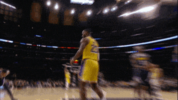 lebron james la GIF by NBA