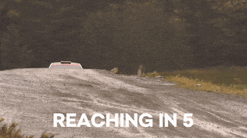 Driving Race Cars GIF by SKODA India