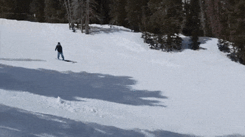 snowboarder snowboarding GIF by Justin