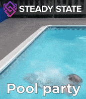 Defi 20 GIF by Steady State