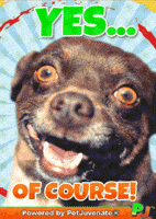 Happy New Year Yes Of Course Omg Yes Fur Kid Hug GIF by PetJuvenate - PJ