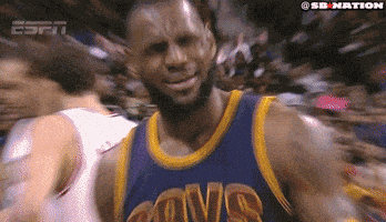 Lebron James What GIF by SB Nation