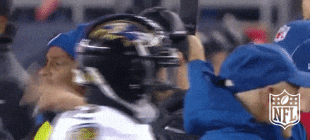 Baltimore Ravens Football GIF by NFL