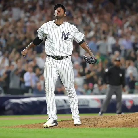 Voit All Rise GIF