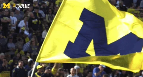 Excited Michigan Football GIF