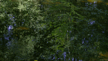 water waves GIF by Living Stills