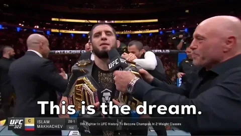 Sport Mma GIF