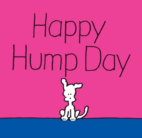 Wednesday Hump Day GIF