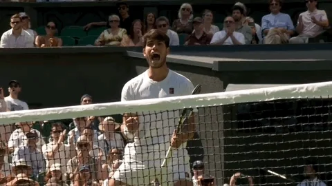 Carlos Alcaraz GIF