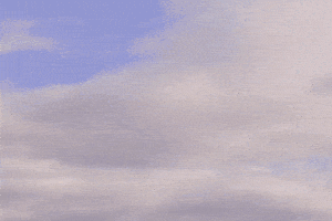 Washington State City GIF by 50statesproject