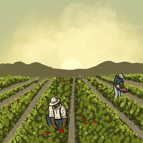 Sunshine Equality GIF