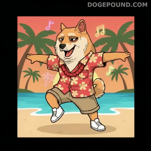 Happy Good Vibes GIF by Doge Pound