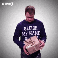 Excited Merry Christmas GIF by SWR3