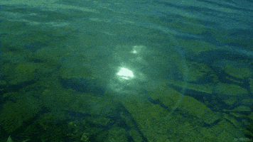 sun waves GIF by Living Stills