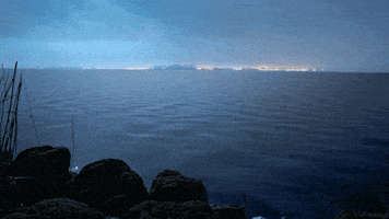 water night GIF by Living Stills