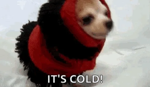 Freezing Cold Weather GIF