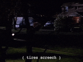 season 1 GIF by Twin Peaks on Showtime