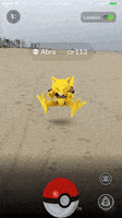 pokemon go GIF
