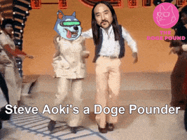 Dogecoin Wall Street Bets GIF by The Doge Pound 