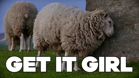 Excited Feel Good GIF