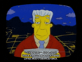 Season 1 GIF by The Simpsons