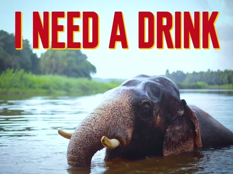 Tired Happy Hour GIF