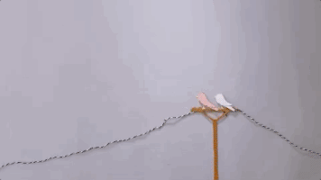 kacey musgraves lyric video GIF