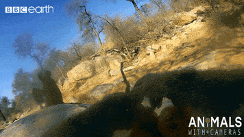 technology eat GIF by BBC Earth