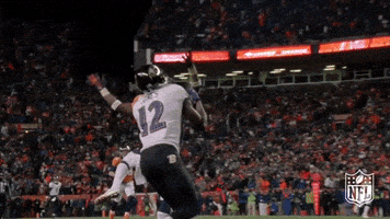 Baltimore Ravens Football GIF by NFL