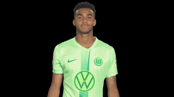 Happy Germany GIF by VfL Wolfsburg