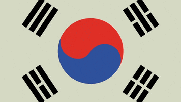 South Korea GIF