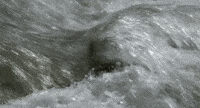 Water Landscape GIF