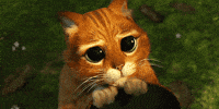 Puss In Boots Awww GIF by Universal Pictures Home Entertainment