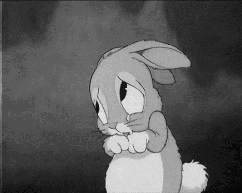 sad rabbit GIF